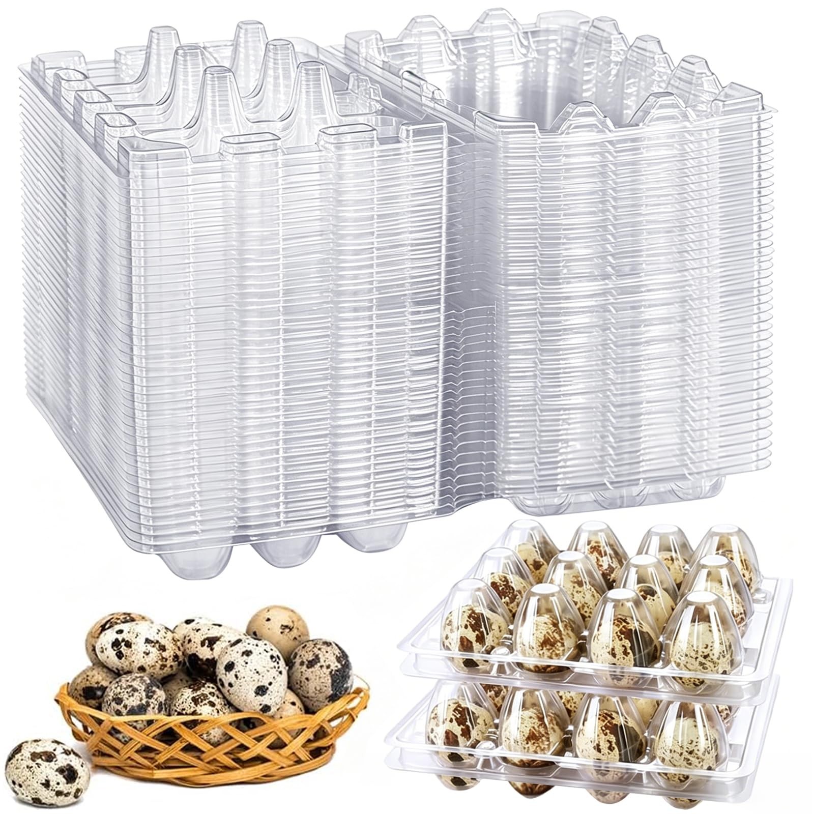 50 PCS Plastic Quail Egg Cartons 12 Grids Small Eggs Storage Holders