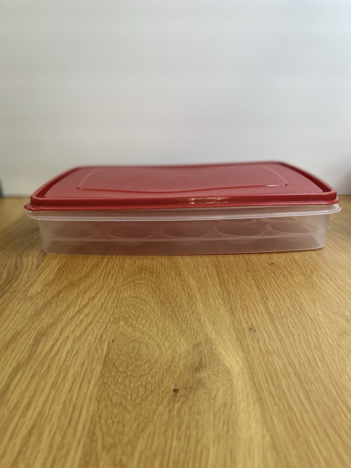 Rubbermaid Deviled Egg Container Holds 20 eggs