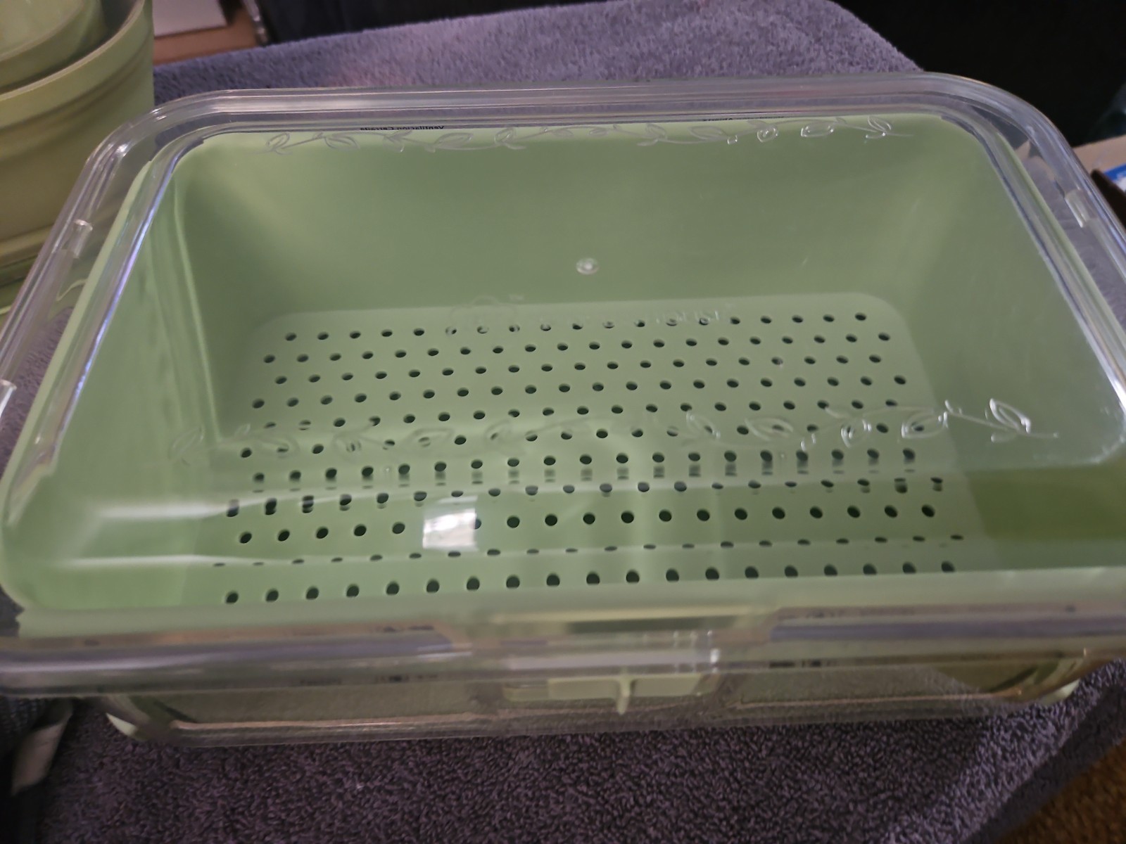 Princess House 6 Qt Fresh Healthy Produce Keeper Storage Container #4582