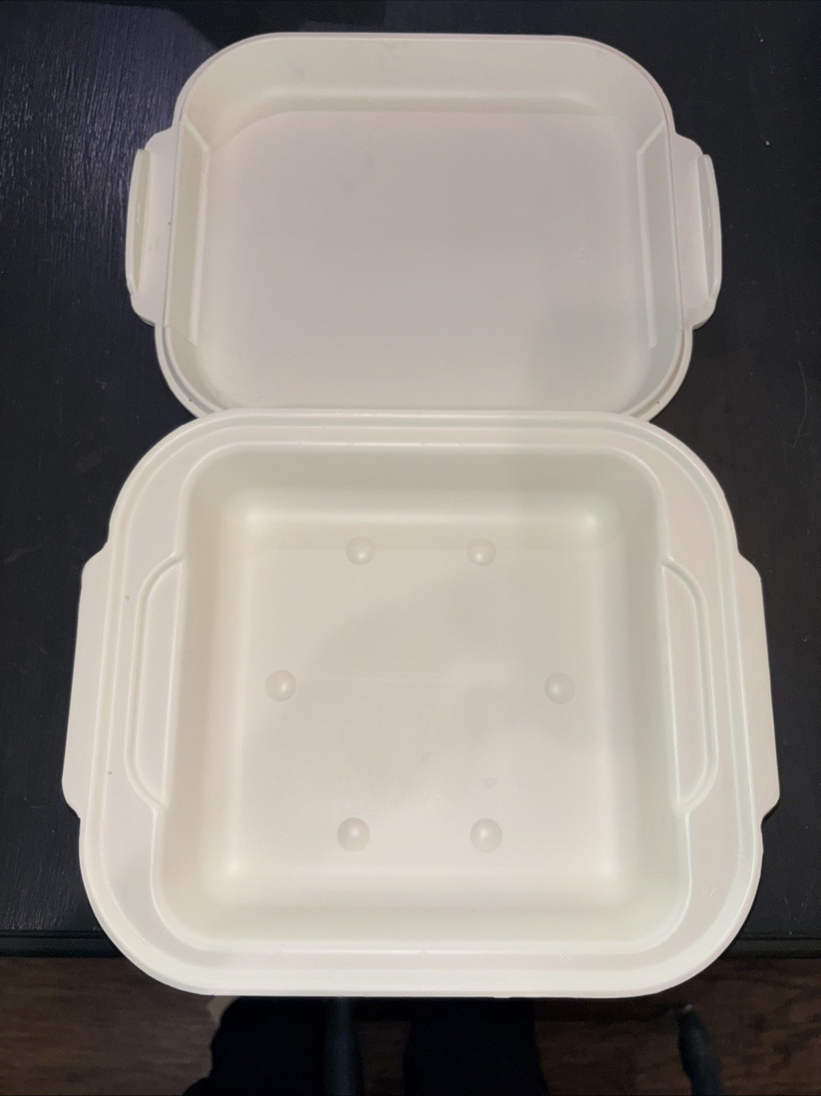 Aladdin Tempreserve Insulated Casserole Holder with Lid for 8″x 8″ Pyrex Dish