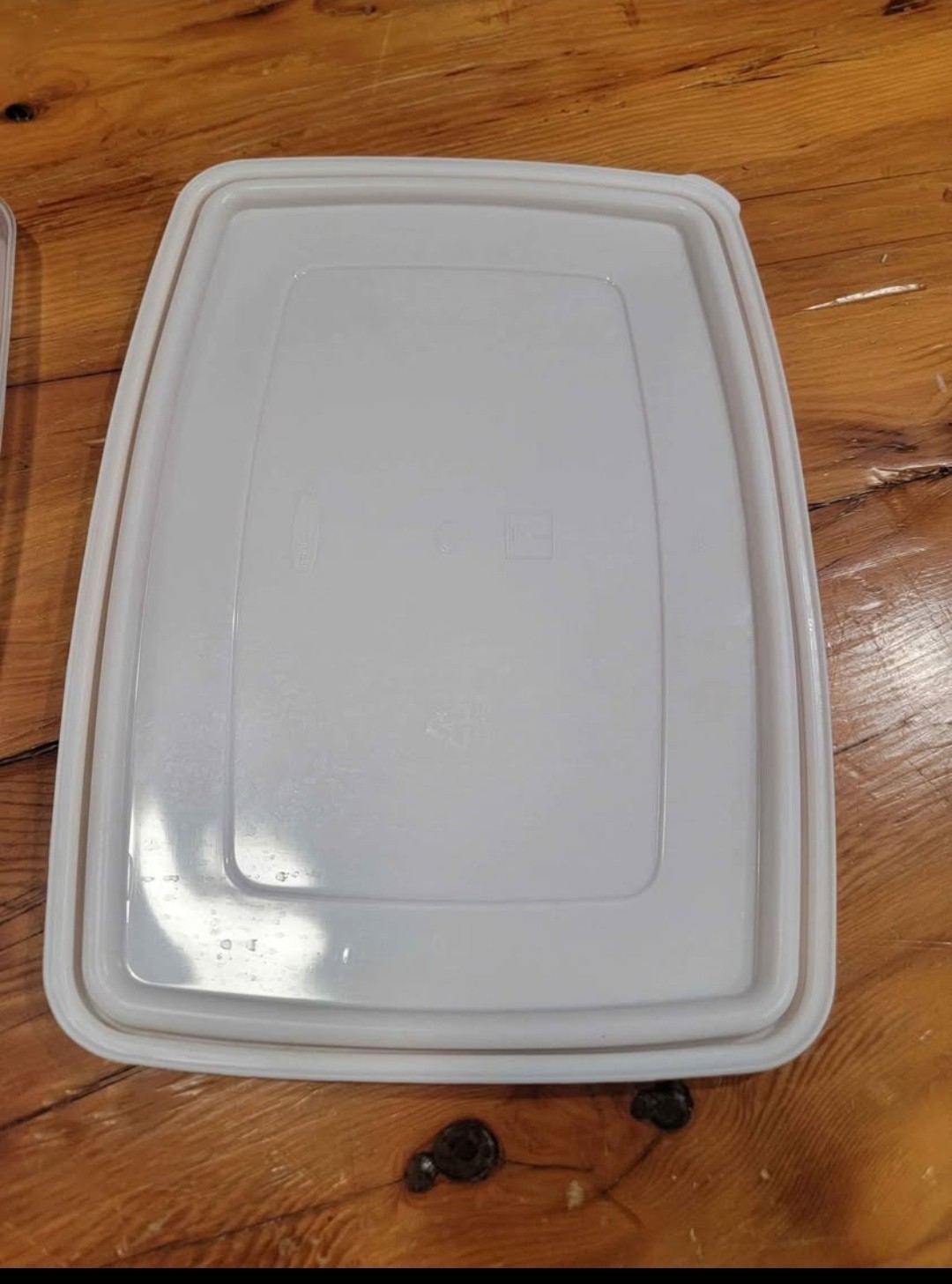 Rubbermaid Servin’ Saver Container #0070 #7 White Lid Deviled Egg Keeper USA