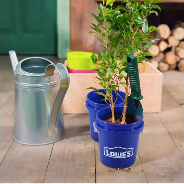 Lowe’s Mini Bucket 0.5-Quart BPA-Free Polypropylene Paint Bucket, seen on TikTok