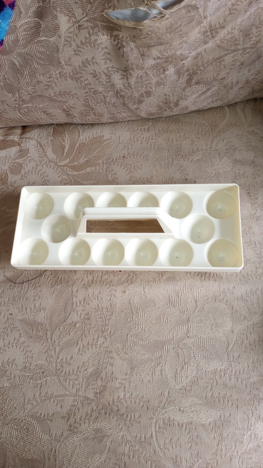 Vtg Plastic Refrigerator Egg Carrier Tray Holds 14 Eggs W Handle Ivory (1 Of 2)*