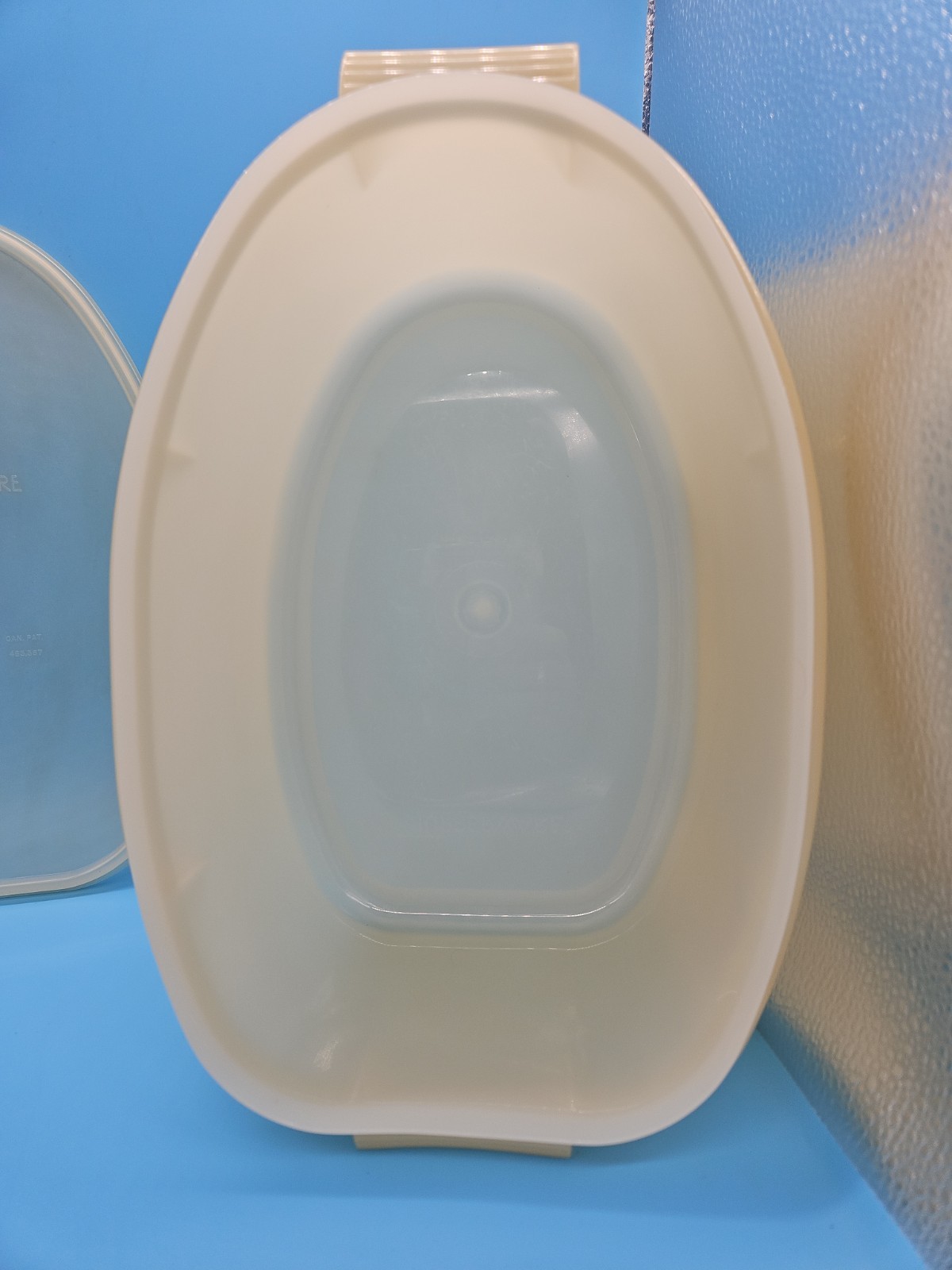 VTG 488 Tupperware Roast Flavor Saver Container Sheer White Oval with Lid & Rack