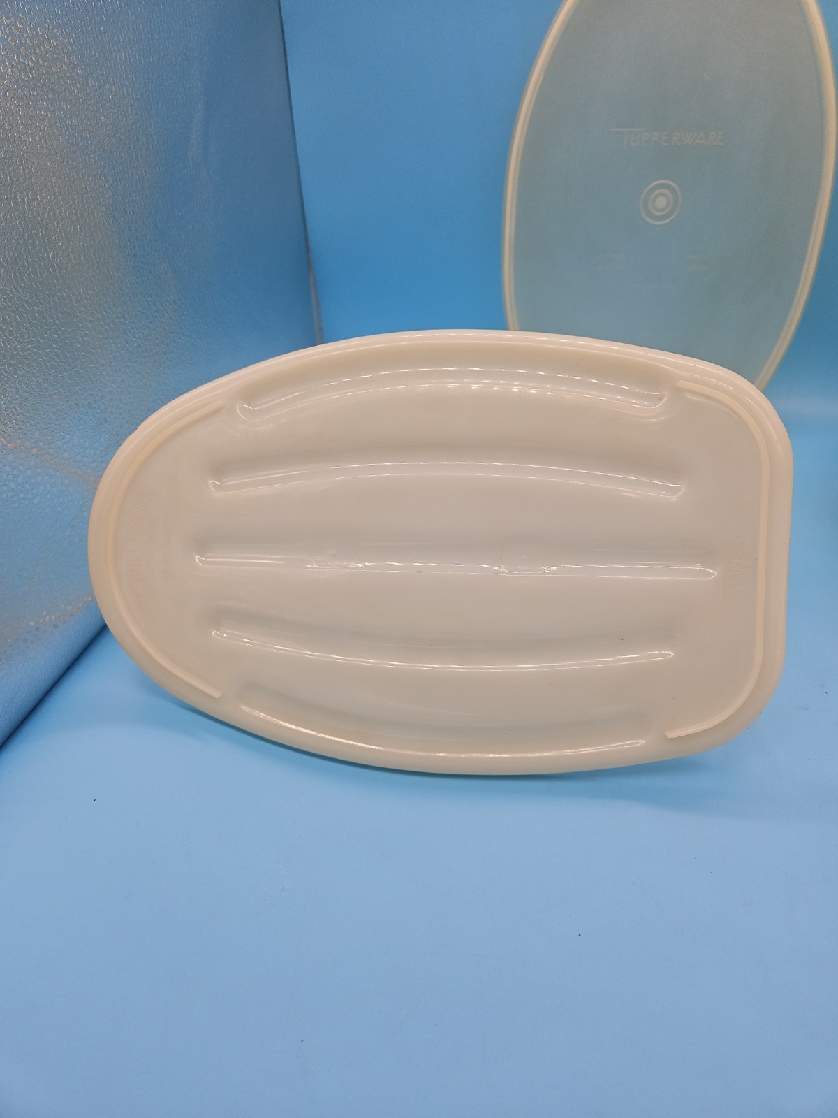 VTG 488 Tupperware Roast Flavor Saver Container Sheer White Oval with Lid & Rack