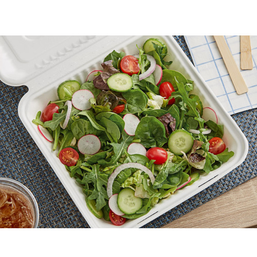 Compostable Bagasse Clamshell Food Container Takeout Box 9″ x 9″ x 3″