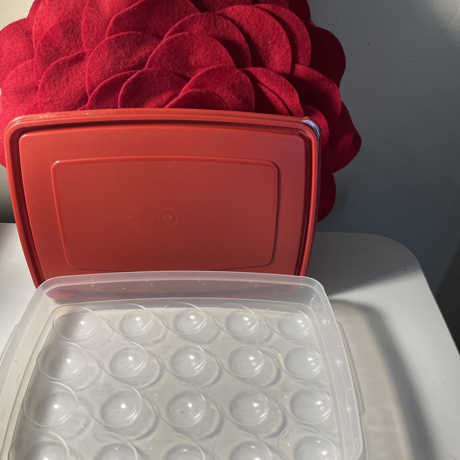 Rubbermaid Deviled Egg Keeper Tray Food Storage Container Hold 20 Jumbo Eggs Red