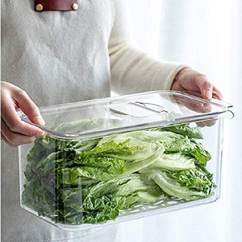 SANNO Vegetable Fruit Containers Fridge 12.4” x 6.4”x 5.7″, Clear