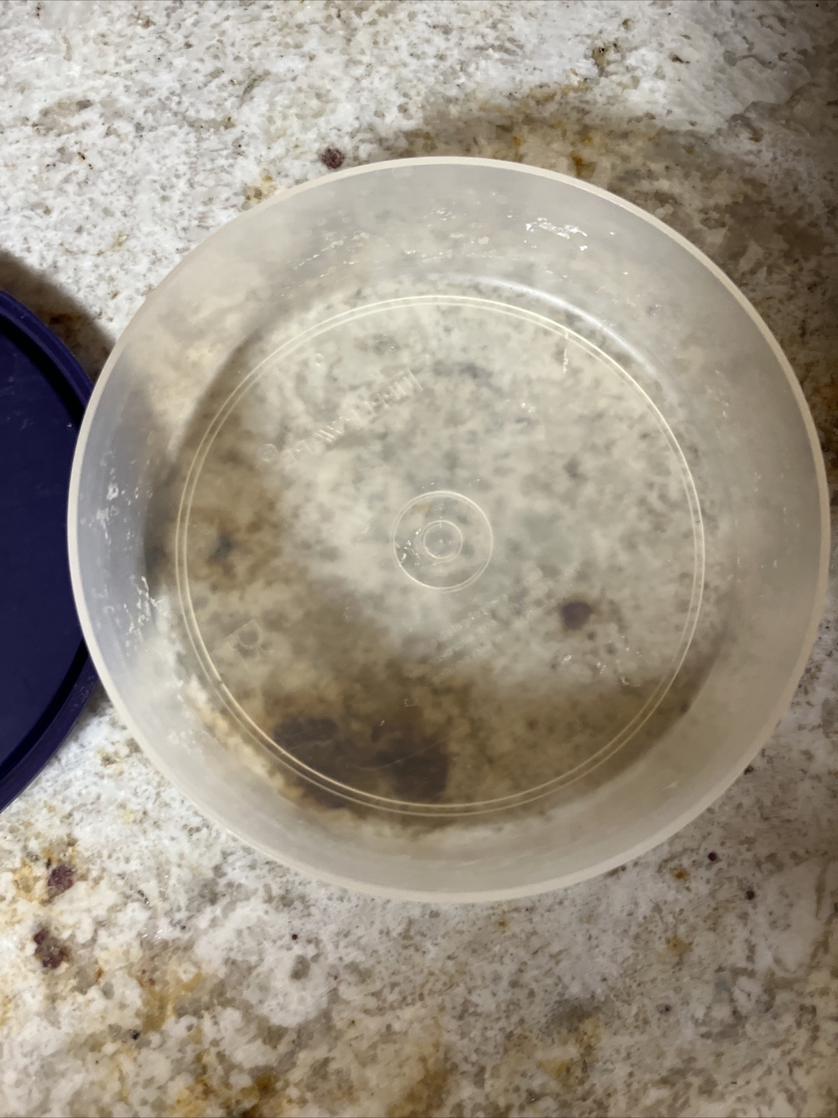 NEW Tupperware Clear Cereal Ice Cream Bowls with Purple Lids (SU106)