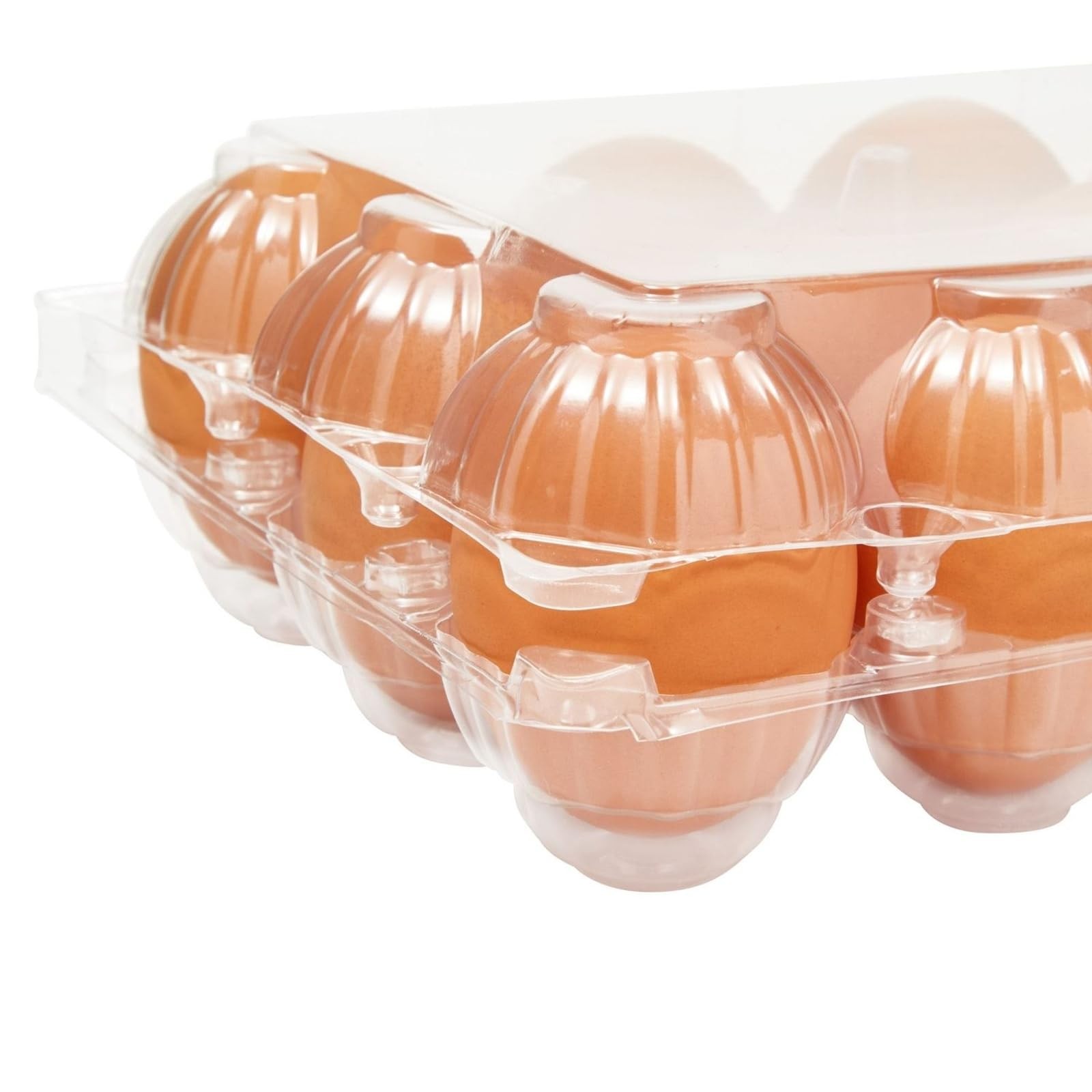 Clear Plastic Egg Cartons with Date Labels – Bulk Storage Set, 12-Count, 48 Pack