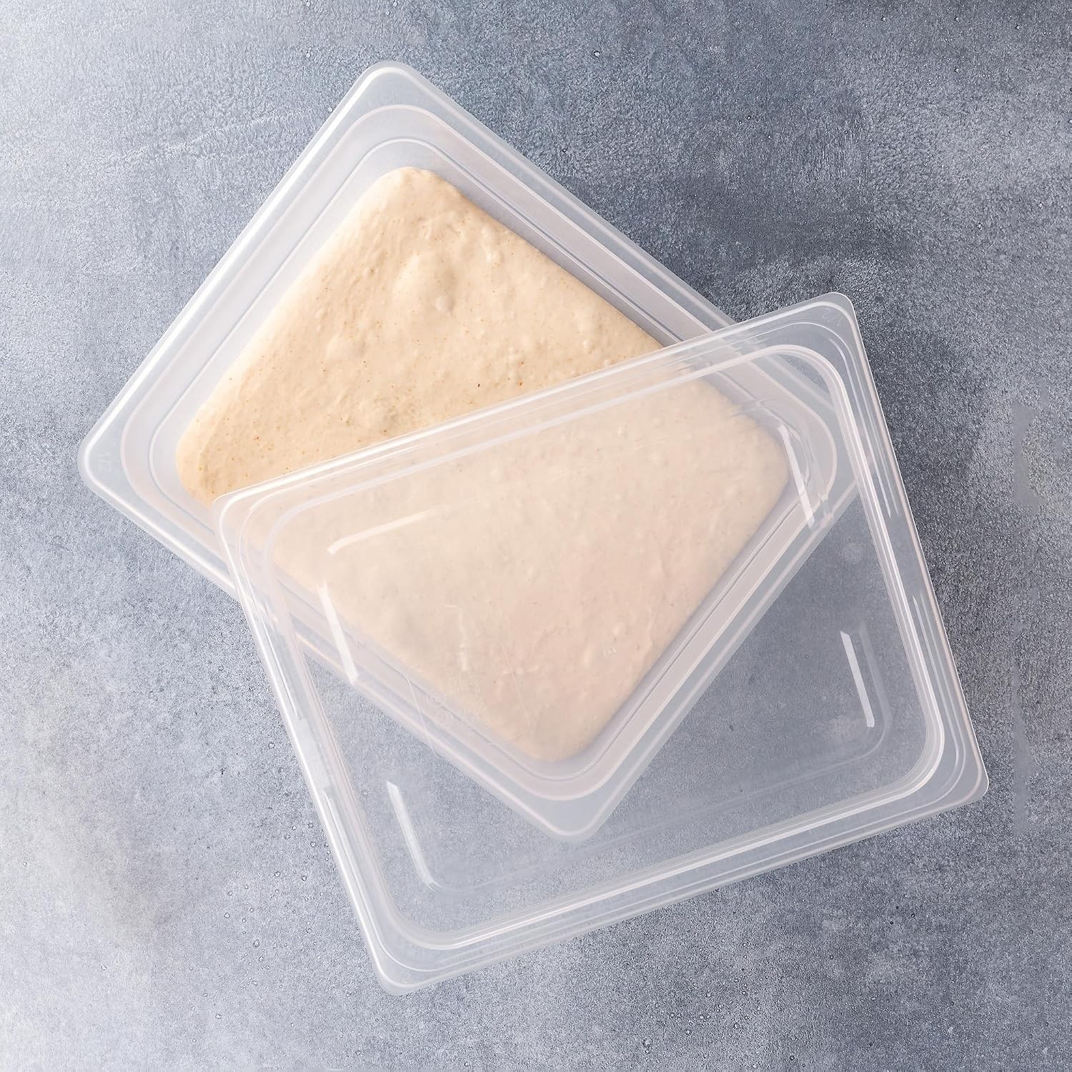 Proofing Container 2 Pack W/ 6L Capacity Fits Up to 3000 Grams of Dough Bread