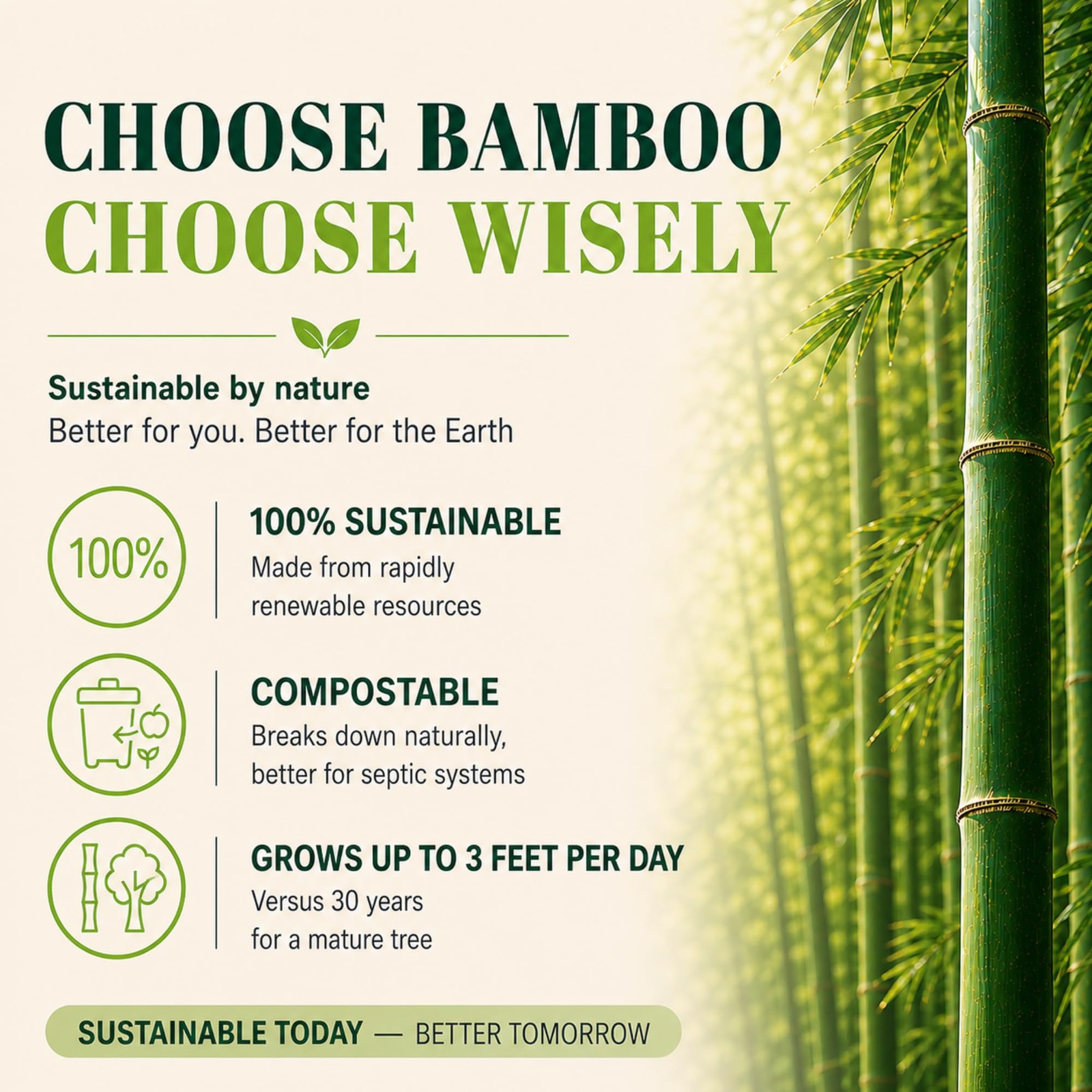 Sustainable Consumables 24 Rolls Healthy Organic Bamboo Toilet Paper 3-Ply 400