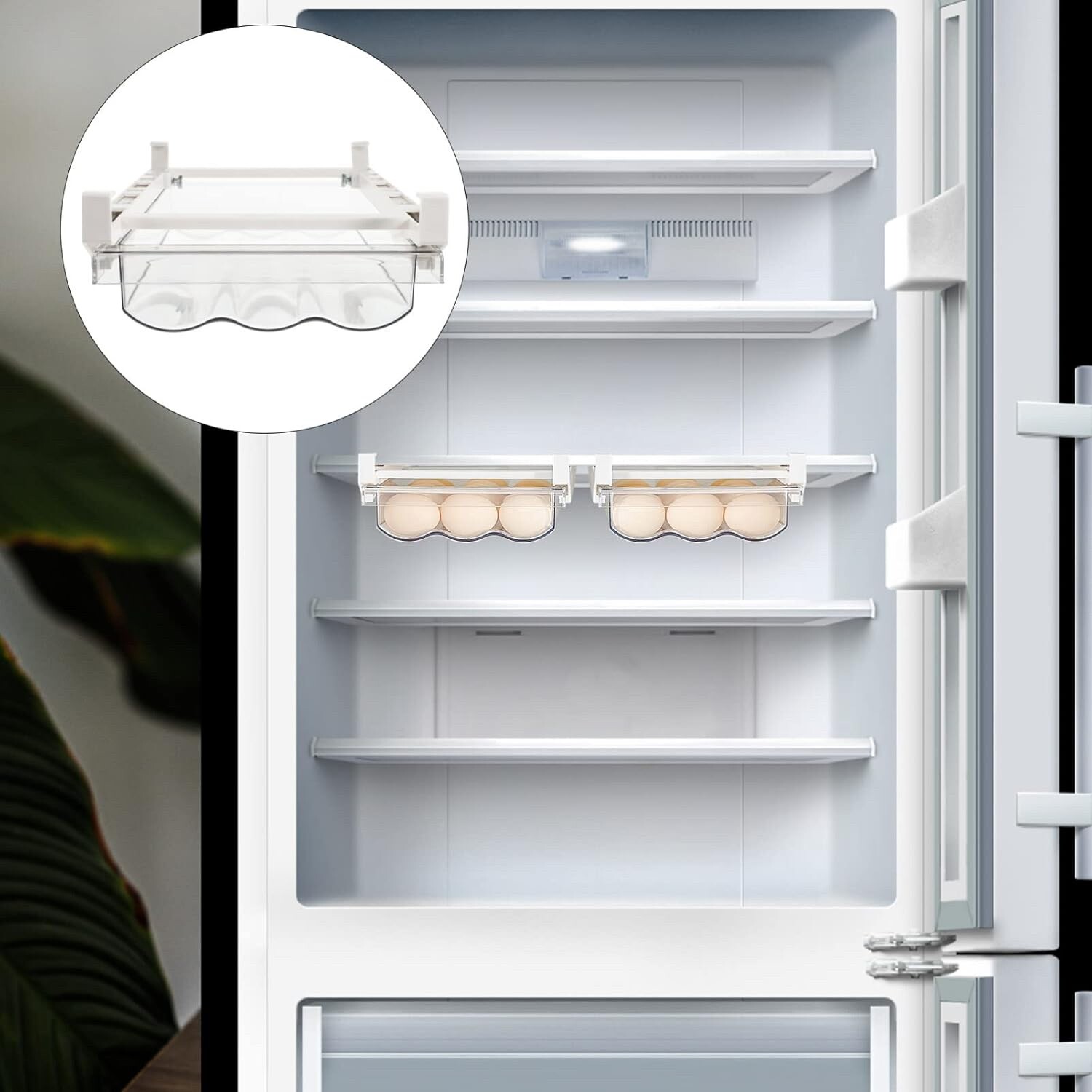 Egg Carton Egg Boxes Pet Refrigerator Egg Holder Egg Cases Egg Holders Egg Stora