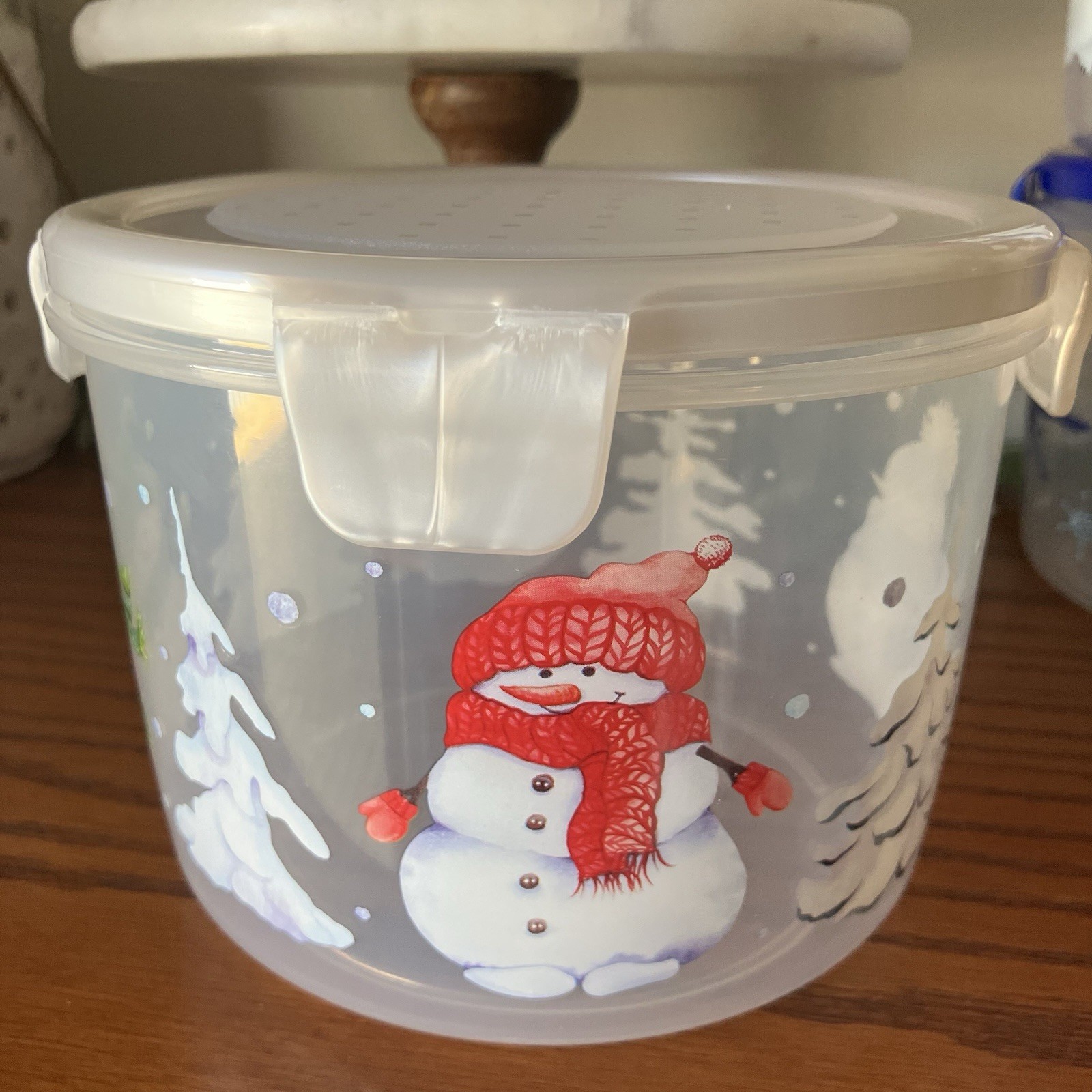 Lock & Lock Set of 4 Holiday Food Storage Containers 44 Ounce Size Multicolor