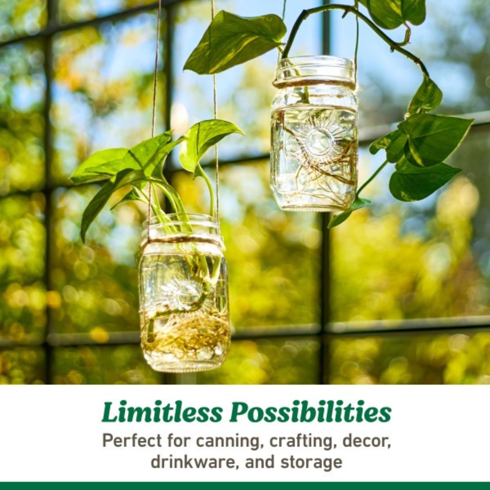 Ball Limited Edition Sunshine Glass Mason Jars, Regular Mouth, Pint (4 CT (Pa…