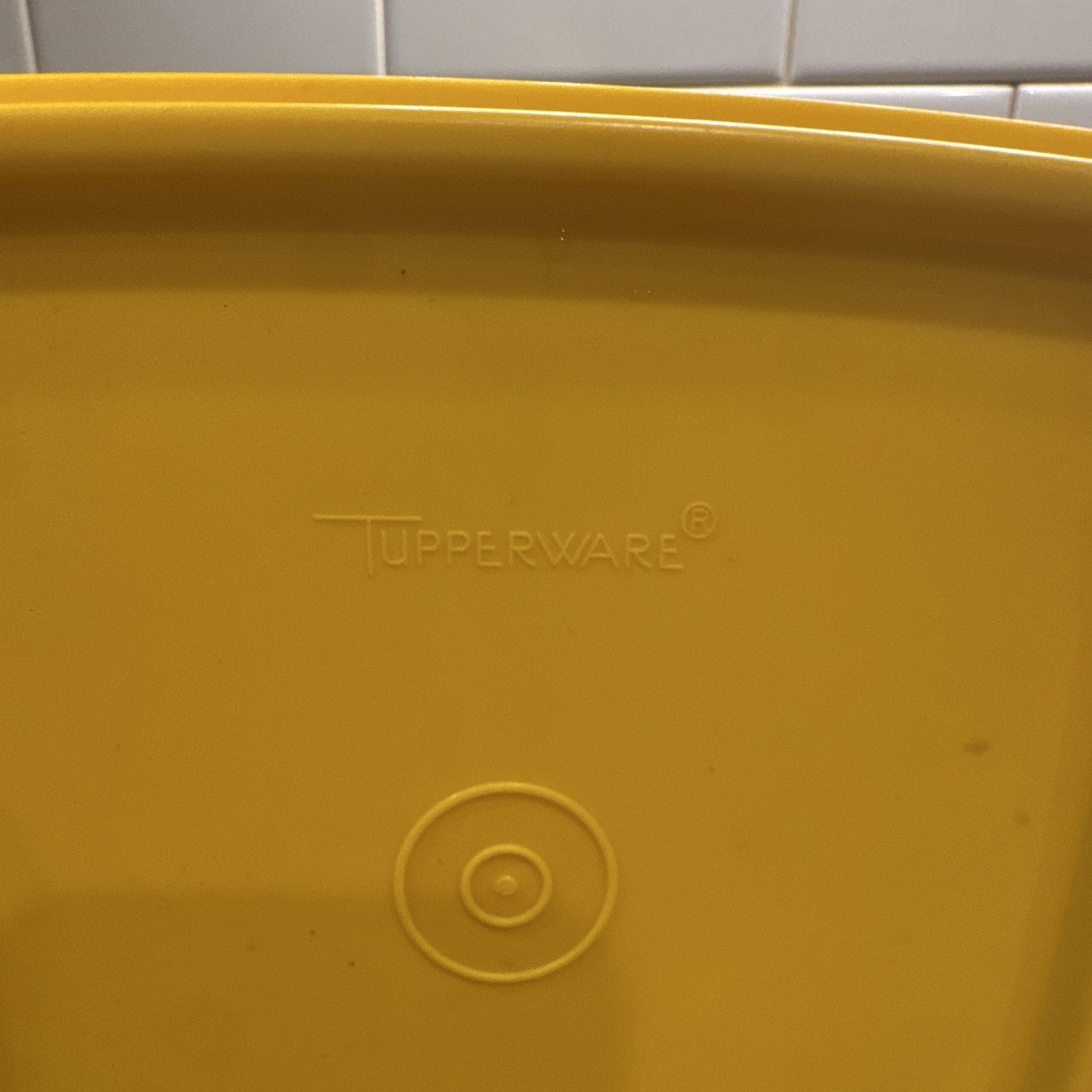 Tupperware Sandwich keepers with lids Fall Harvest colors Set of 4