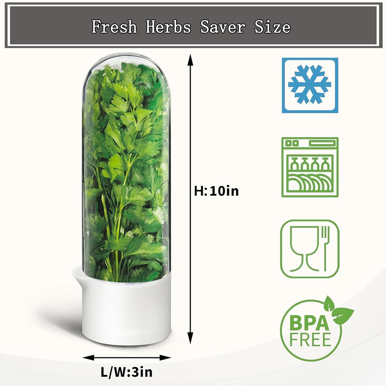 Herb Saver, Herb Keeper for Refrigerator, Cilantro Container for Fridge, Fres…