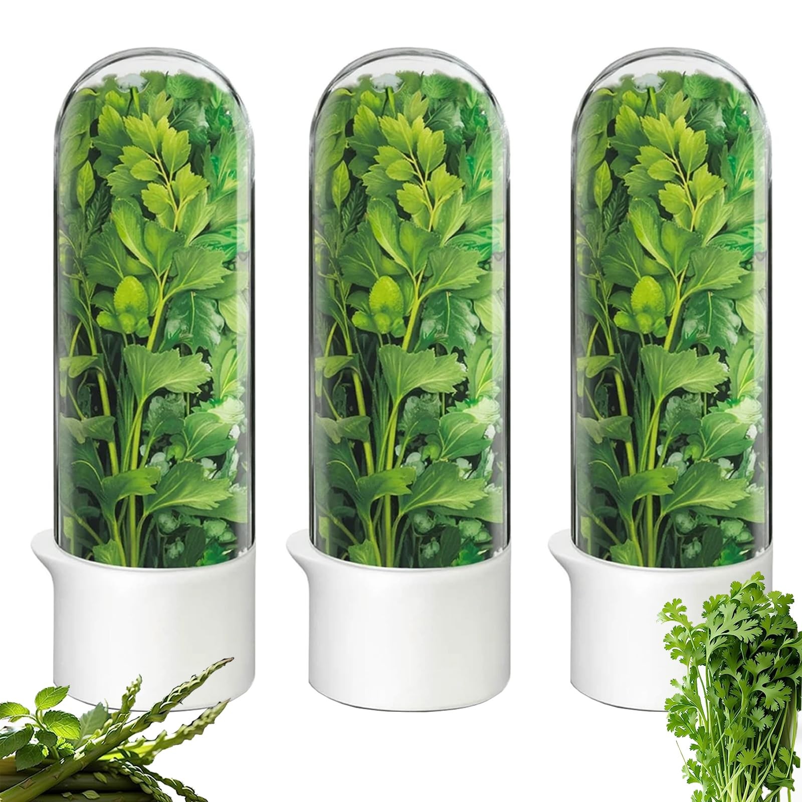 Rkssws Herb Saver for Refrigerator, Cilantro Container for Fridge, Fresh Herb…
