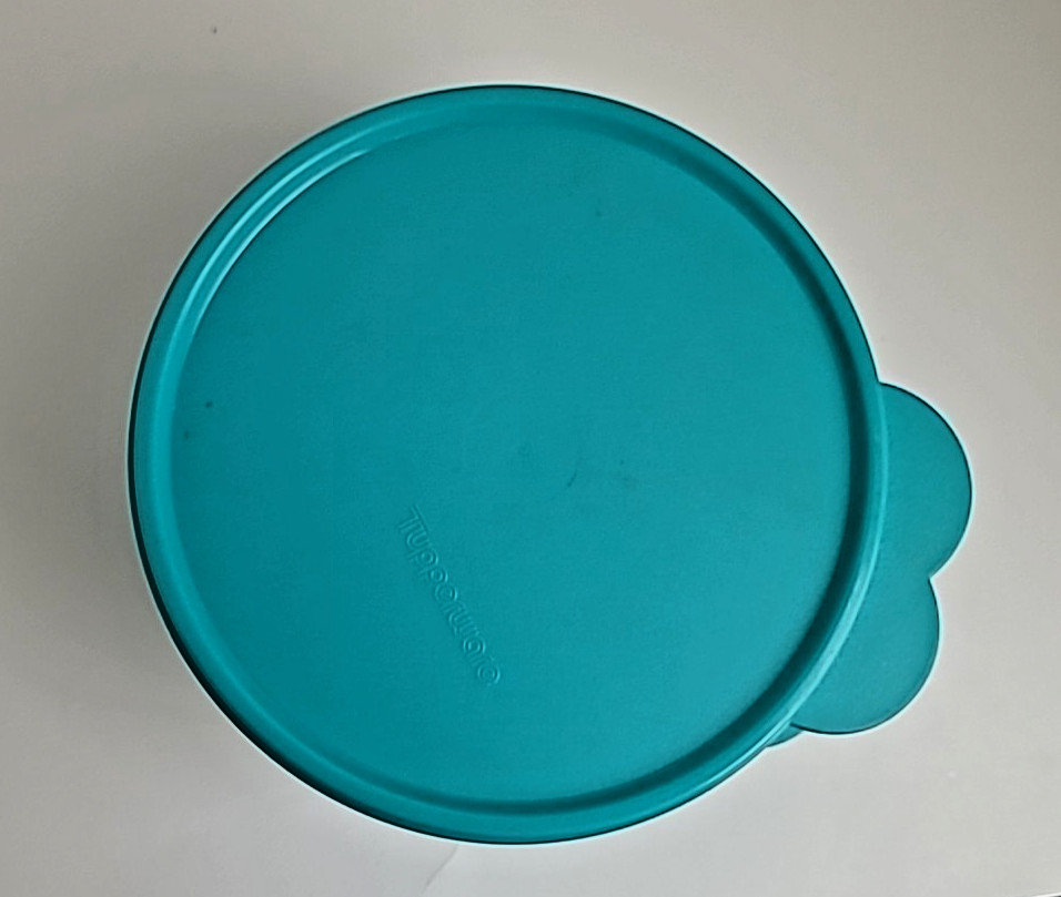 Tupperware Bowls Set of Two 500ml Containers w/Seals Aqua #6403B-3