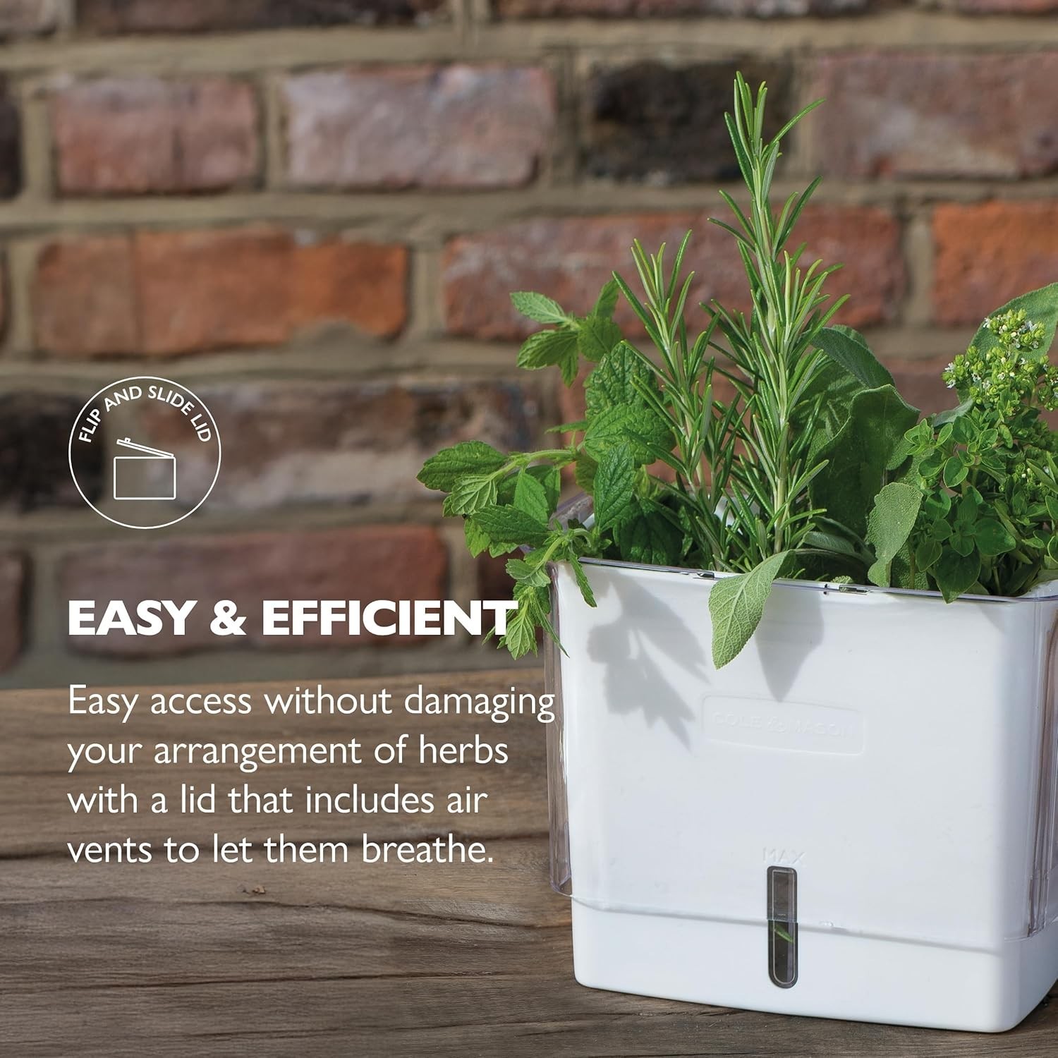Fresh Herb Keeper – Acrylic Storage Container for Refrigerator – Storage for …