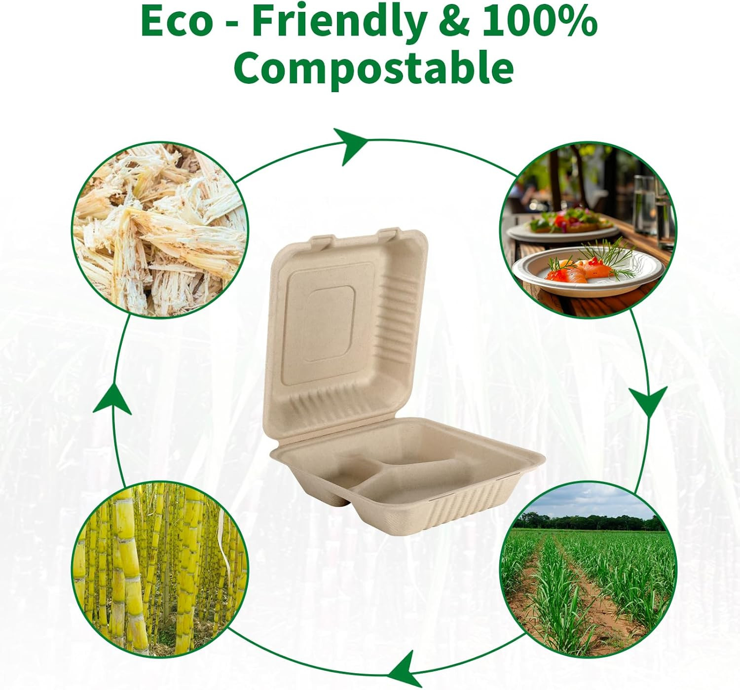 3‑Compartment 8×9″ Compostable Takeout Boxes 100‑Pack PFAS‑Free Bagasse