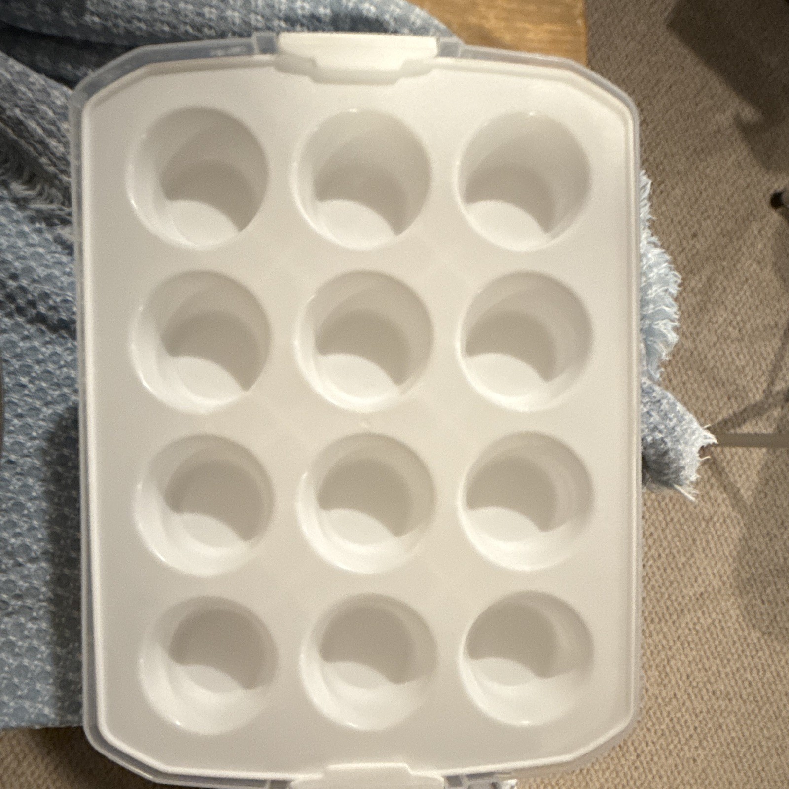 Top Shelf Elements Clear/White Plastic Container 12-Comp Tray Snap Lid
