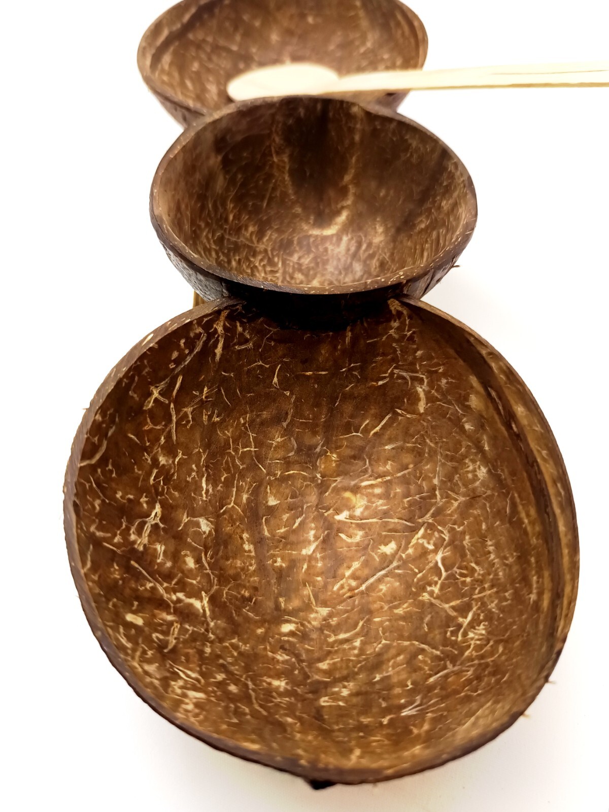 3 in 1 Coconut Shell Thook/Container