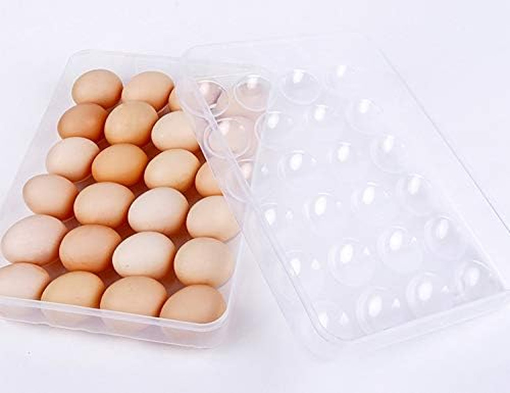 2 Pack Covered Egg Holders for Refrigerator,Clear 2X24 Deviled Egg Tray Storage