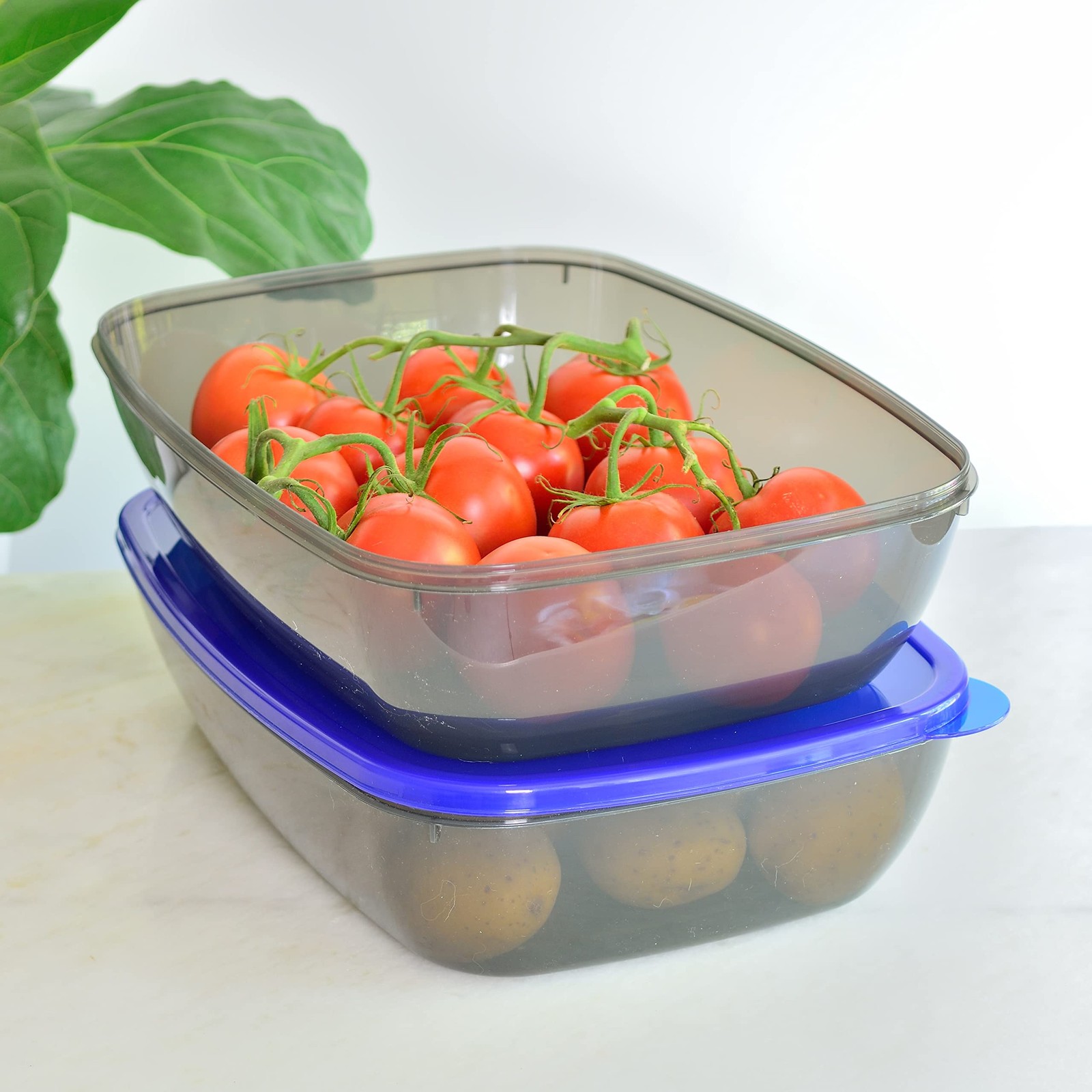 Youngever 2 Pack Extra Large Food Storage Containers 1.5 Gallon 15 Inch X 11