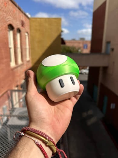 Medium Mushroom Storage Container