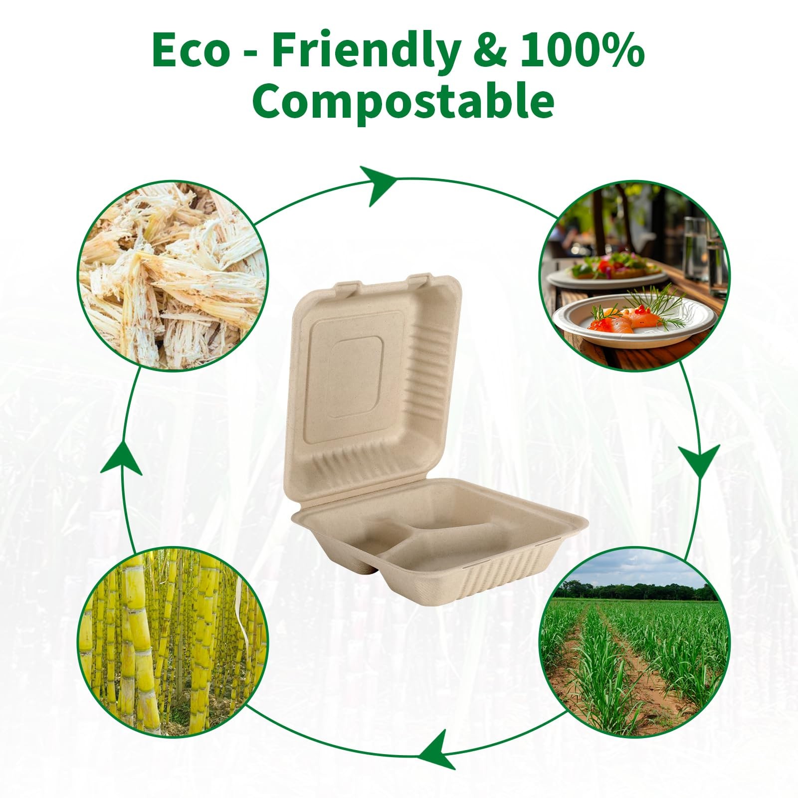 50 Pack 3 Compartment Compostable 8×9 Inch Takeout Lunch Box Containers with …