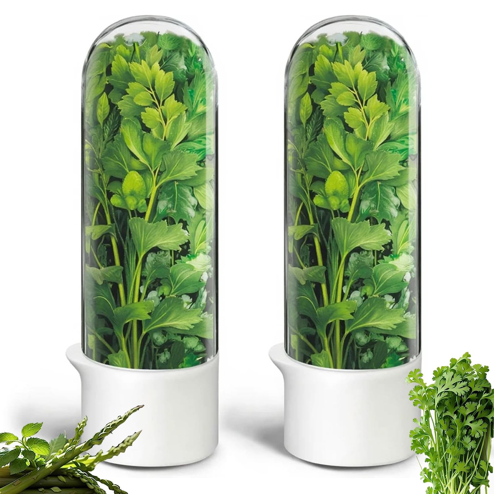 Herb Saver, Herb Keeper for Refrigerator, Cilantro Container for Fridge, Fres…