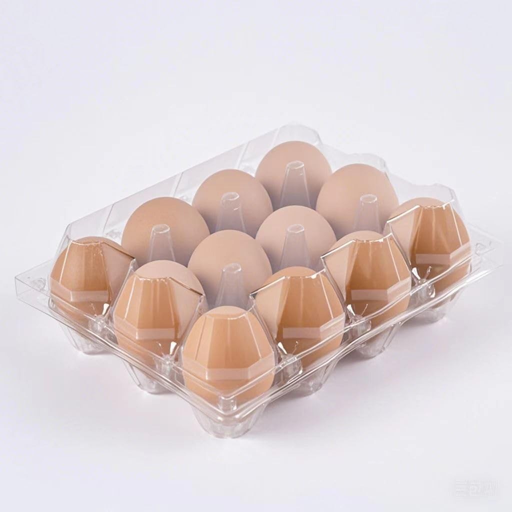 60 PCS Plastic Bulk Clear Egg Carton 3×4 Grids Storing Farmers Markets