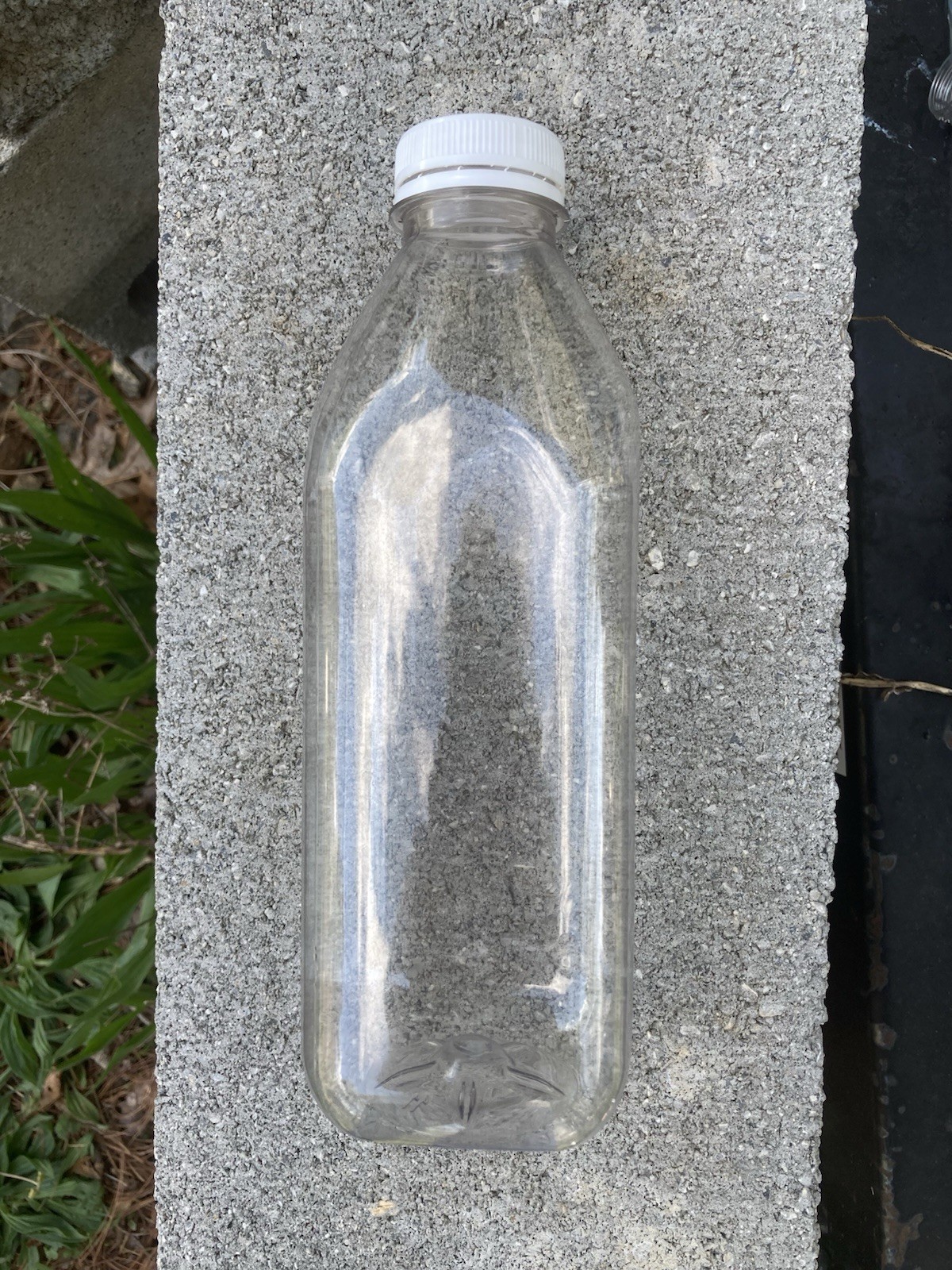 Clear Plastic Milk Bottle Container with Screw Lid, approximately 8.5 x 2.5 in