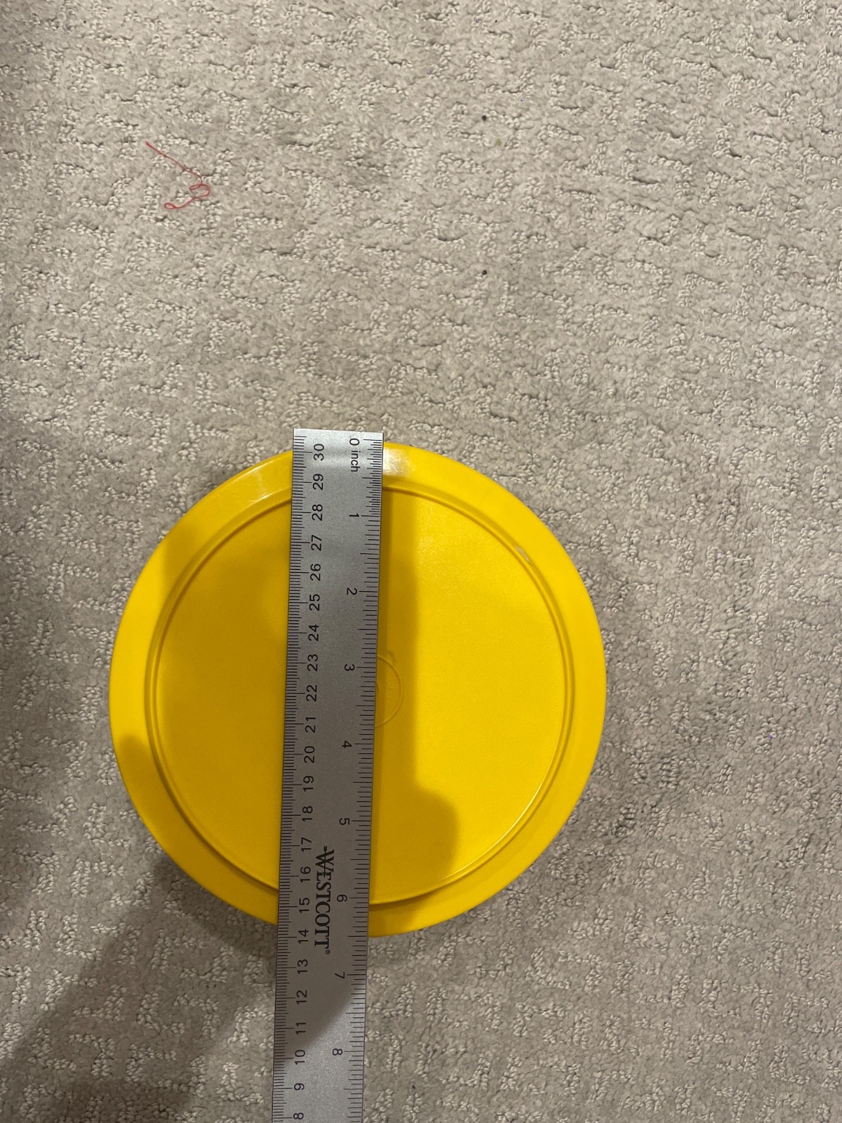 Vintage Tortilla Container