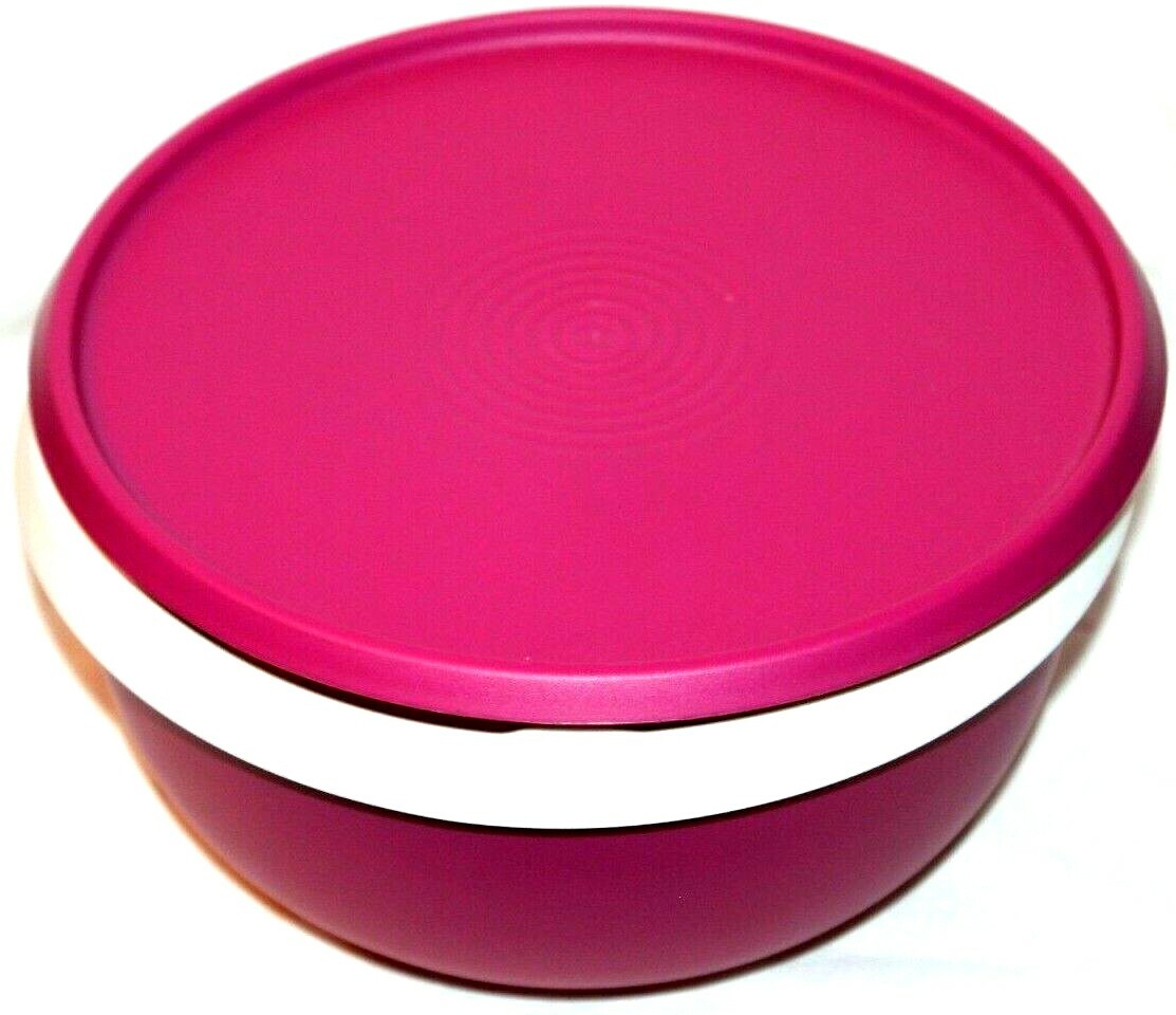 Tupperware Essentials Purple Large Chip & Dip Serving Mixing Bowl White Tray