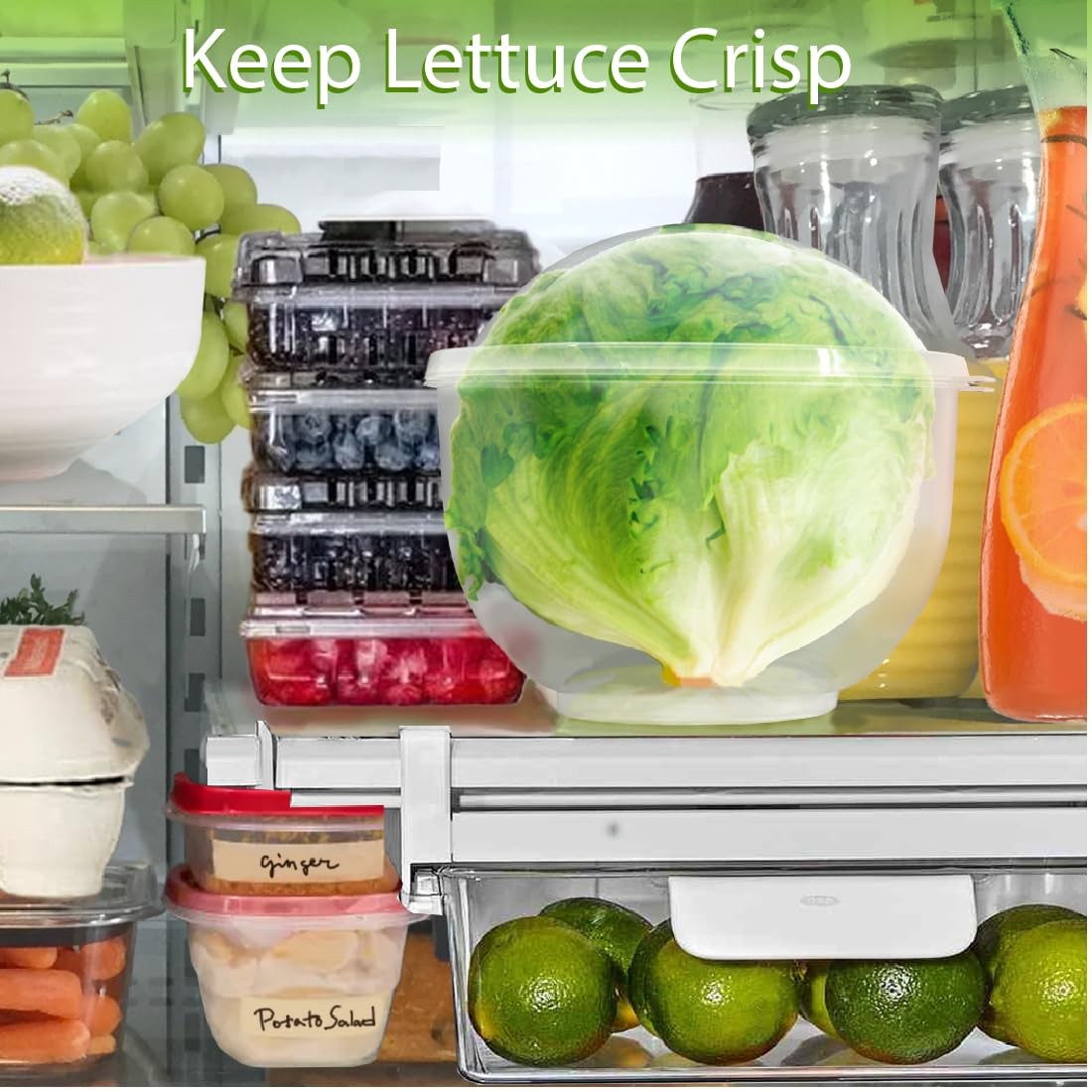 Trenton Gifts Lettuce And Vegatable Storage 7 inches by 8 inches, Clear