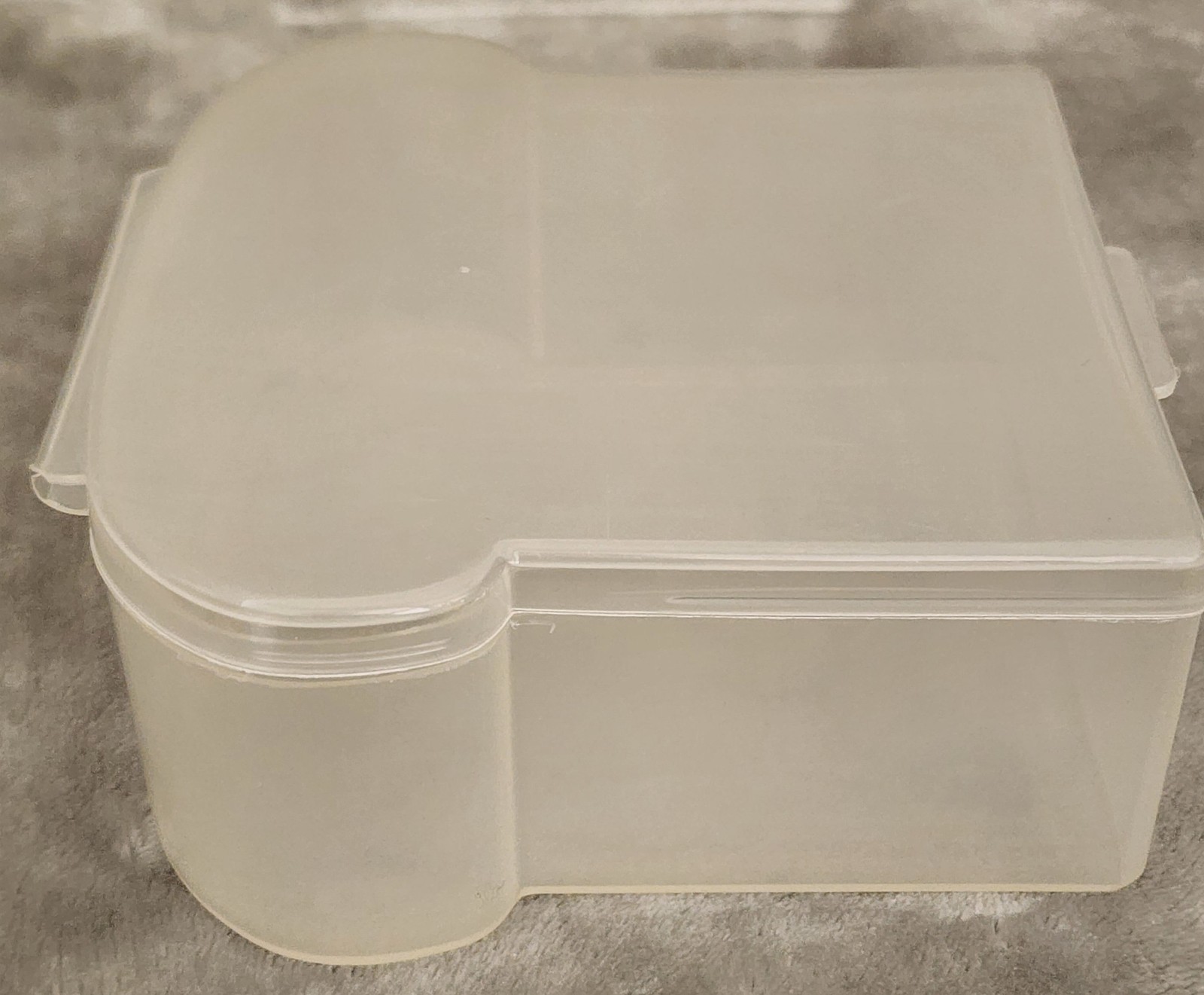 Vintage RPI Trendtex Sandwich Shaped Keeper – Hinged Lid – Clear Plastic – Rare
