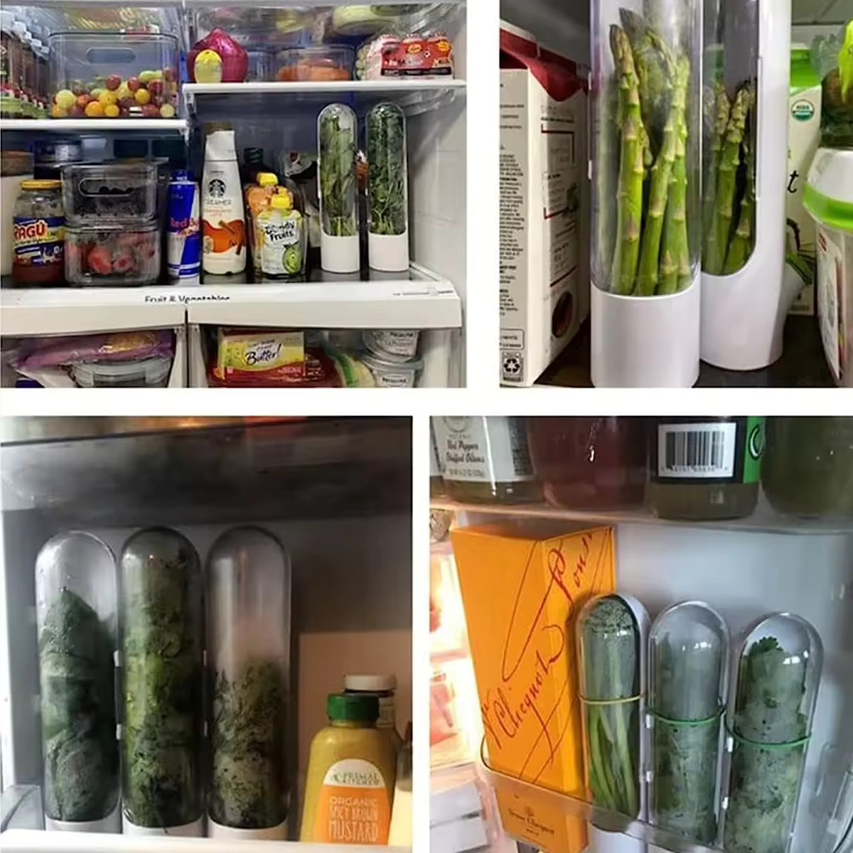 3PCS Herb Saver Storage Container Fresh Herb Keeper Vegetable Preservation Bottl