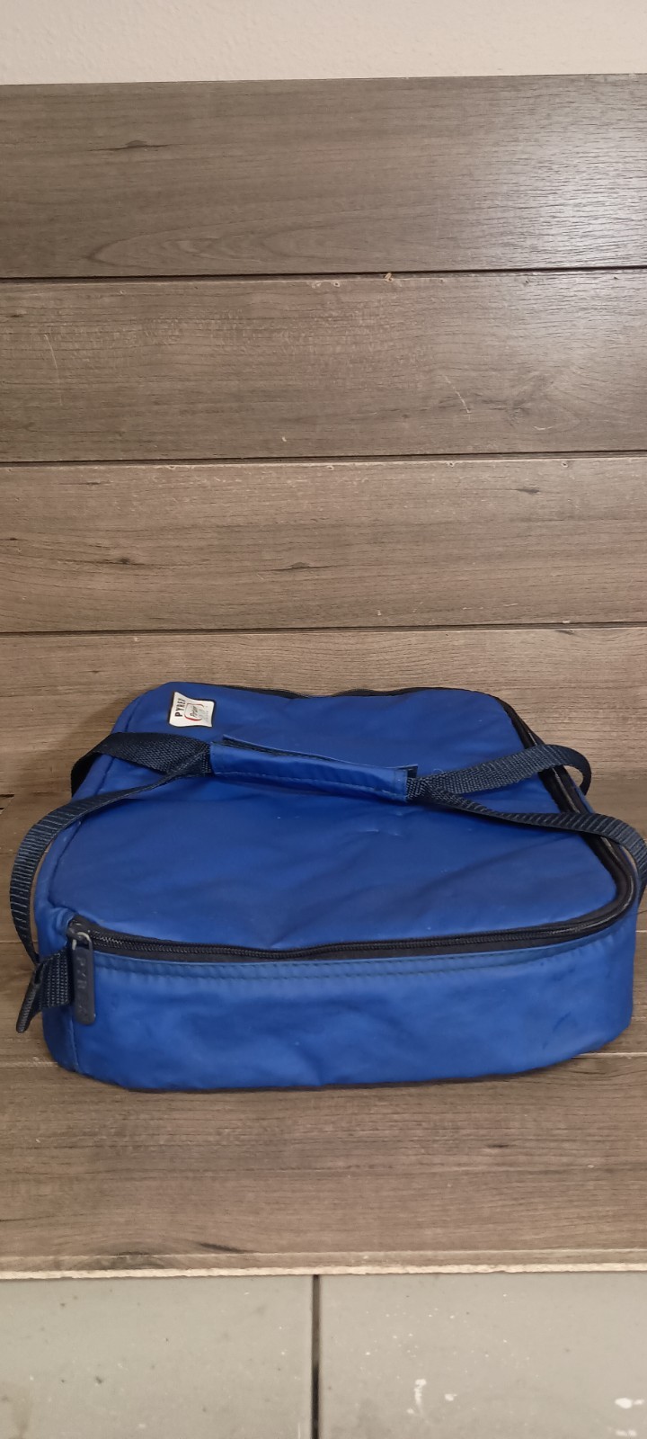 Pyrex Portable The Way To Go Blue 16″x10″x3″ Insulated Carry Bag No Hot Packet