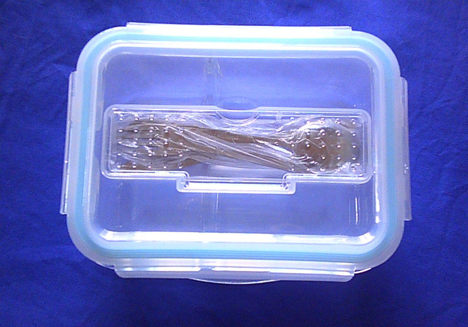 Divided Glass Food Storage Container Locking Lid Bento Box Silverware Fork Spoon