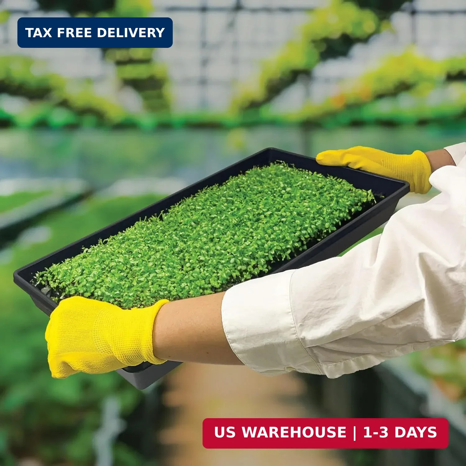 Living Whole Foods 5 Pack of Durable Black Plastic Growing Trays (Without Drain