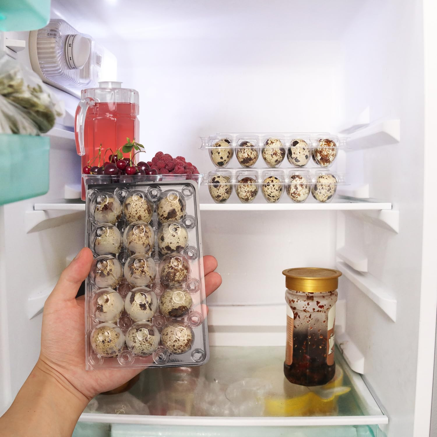 200 Pack Quail Egg Cartons, Clear Plastic Quail Egg Trays, Holds up to 15 Quail