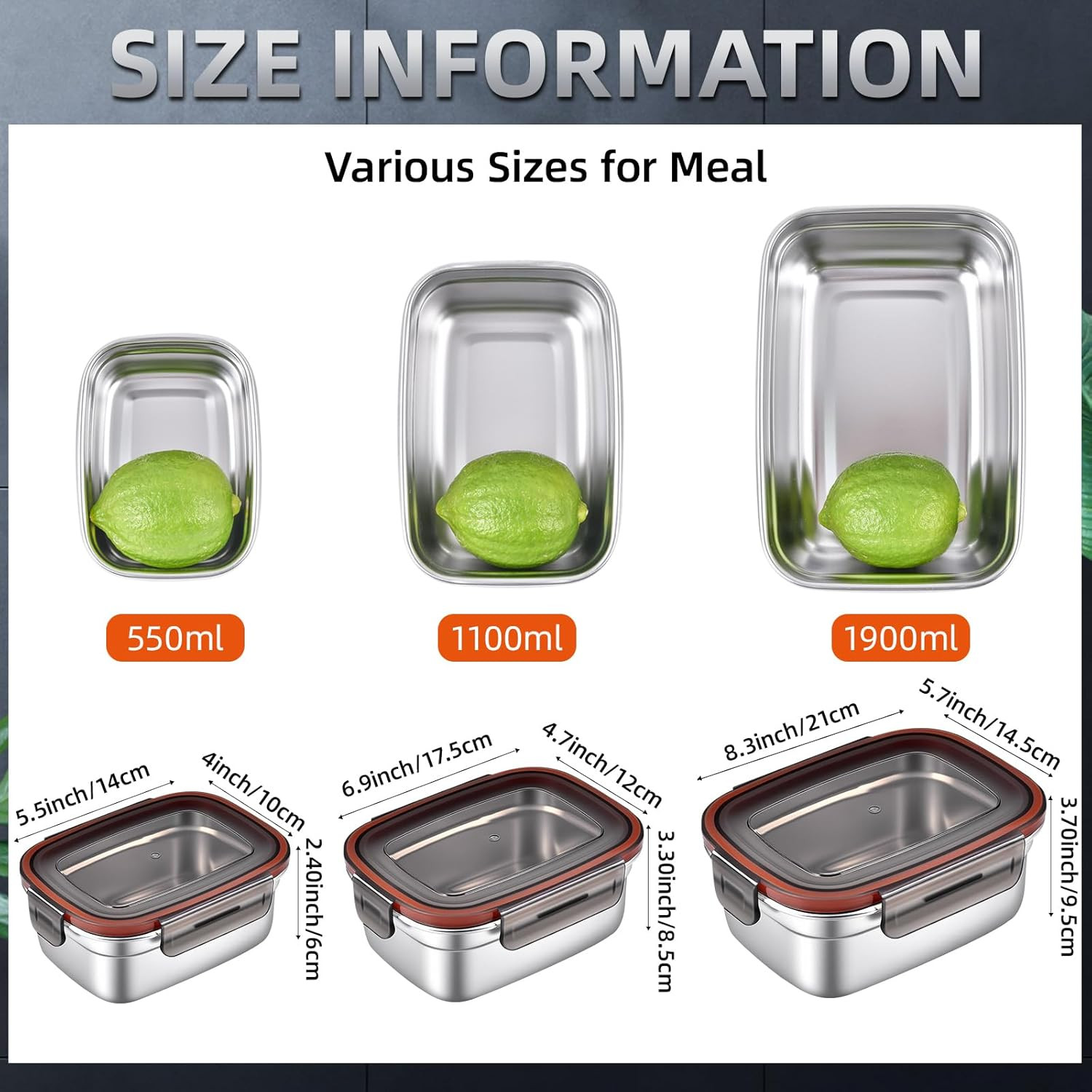 Stainless Steel Airtight Food Storage & Bento Lunch Box Set of 6 – Leakproof Sea