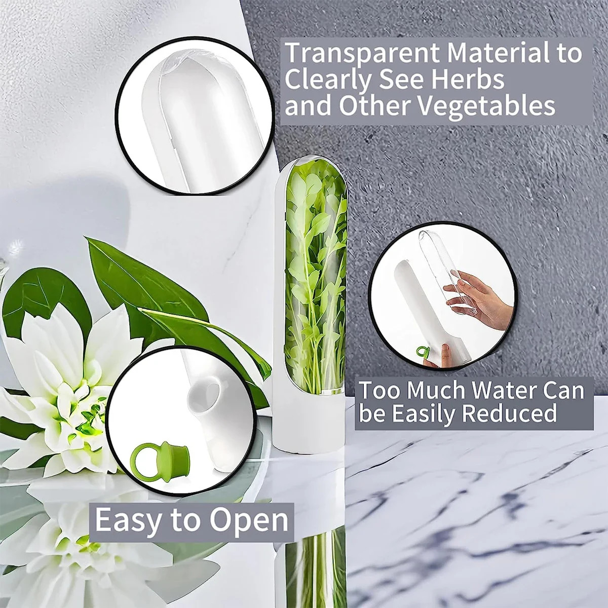 Cross-border Vanilla Vegetable Fresh-keeping Box Dust-proof Anti-pressure Enviro