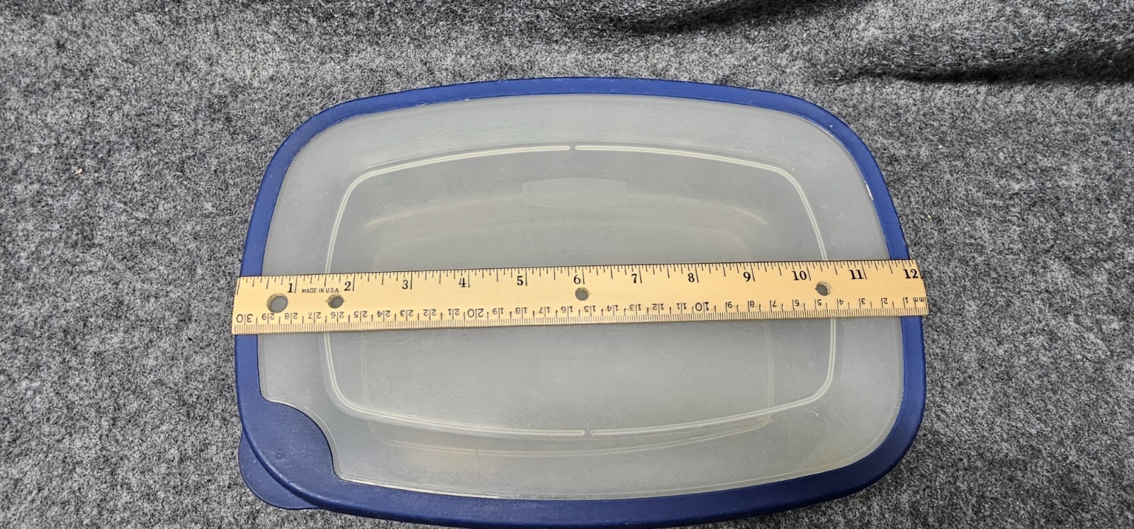 Rubbermaid 4-Liter “E” Container 1.1 Gallon Clear Blue Rim Lids Rectangular