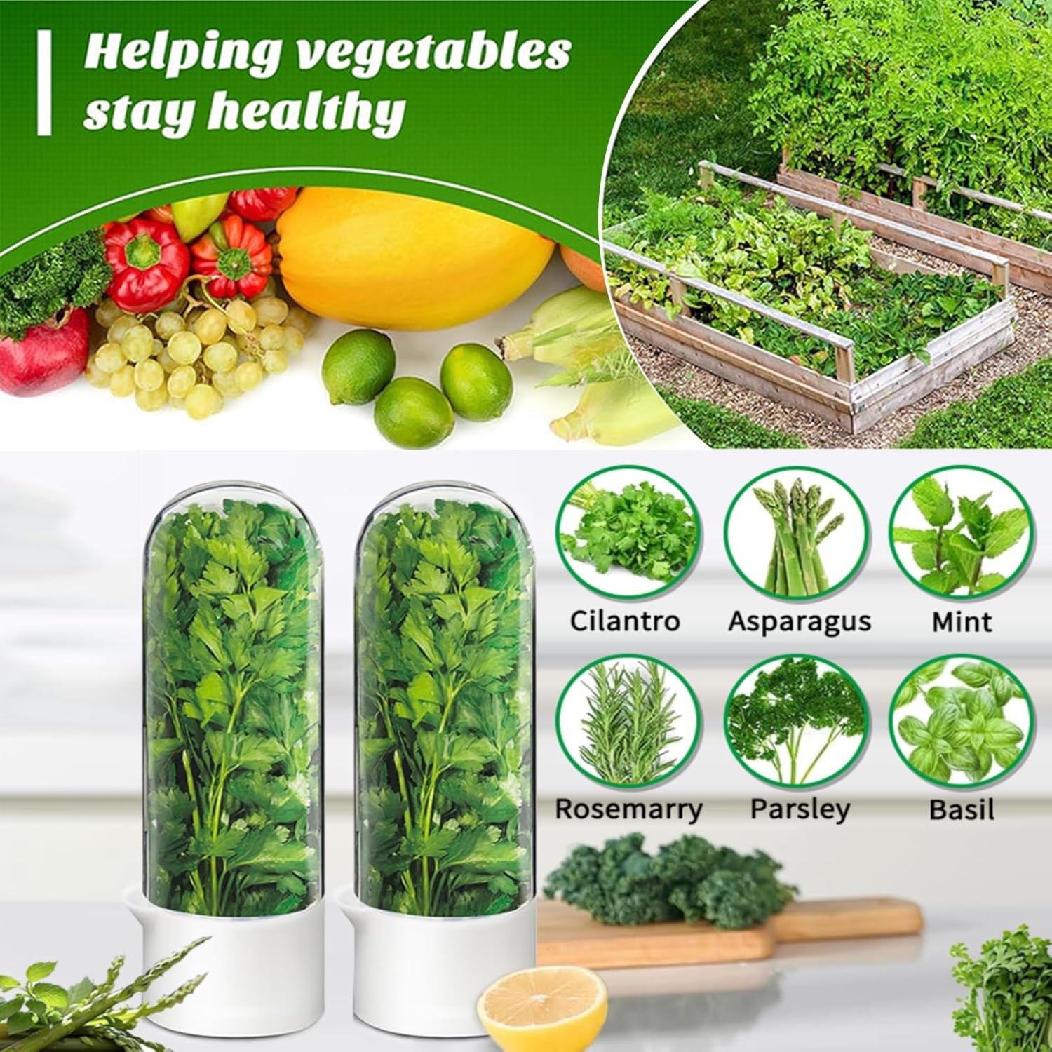 Cilantro Container for Fridge, Fresh Herb Keeper for Cilantro 2-3 Weeks (2PCS)