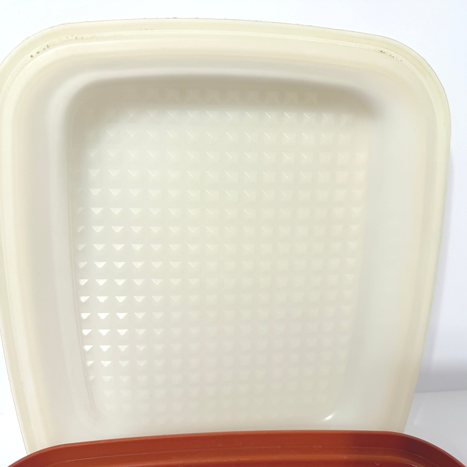 Vintage Tupperware Season-Serve Large Marinade Container Paprika Orange 1294