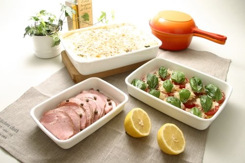 Noda Horo Food Strage Enamel Container 2.4 WRA-L Japan Import