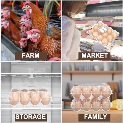 120 Pcs Clear Plastic Egg Cartons – Reusable Large Egg Tray with Labels for Farm
